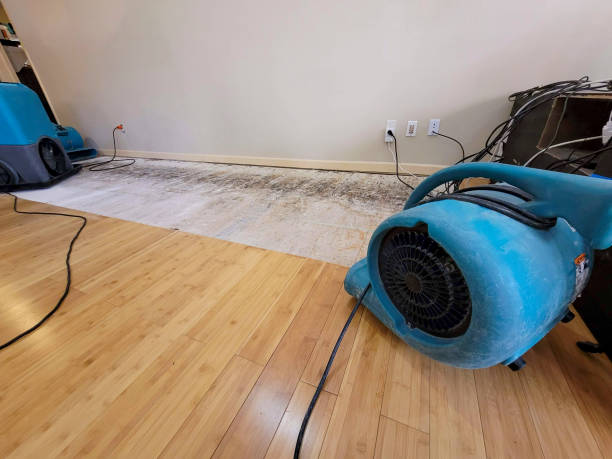 Professional Structural Drying technician working in Rural Hall, NC